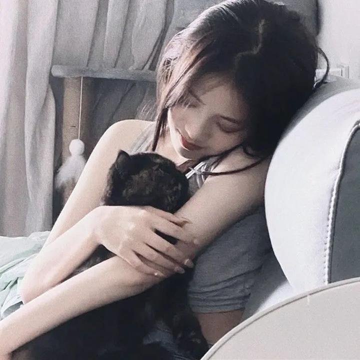 情义我心知粤语