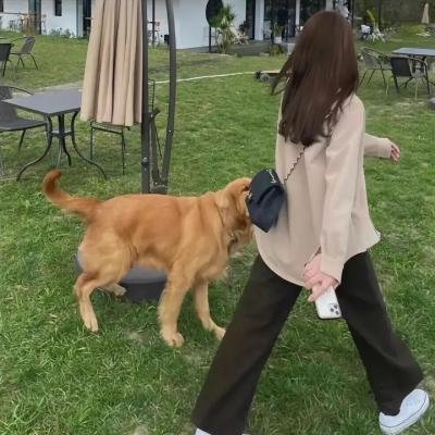 棒坛风云录