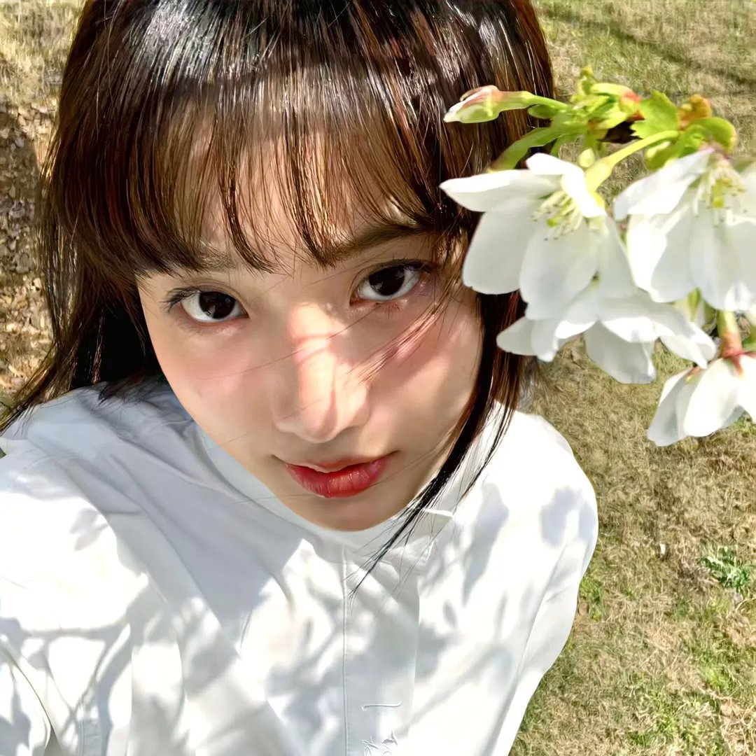 鲨颤